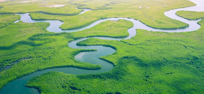 انقلابی در آبیاری کشاورزی: ​​نقش لوله ها و اتصالات پی وی سی